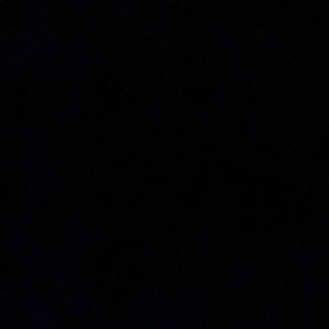 Meet your Posher, Dane